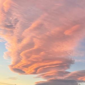 Meet your Posher, Jade